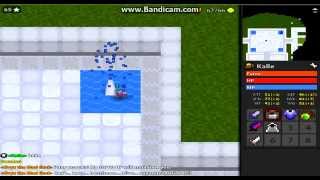 Random private server stuff RotMG