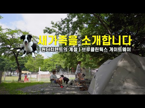 새 가족 개조카2호 소개 | 초당옥수수=여름캠핑을 준비해야 한다는 것 | 입실에서 퇴실까지 그늘인 애견동반 캠핑장| 브루클린웍스 게이트웨이