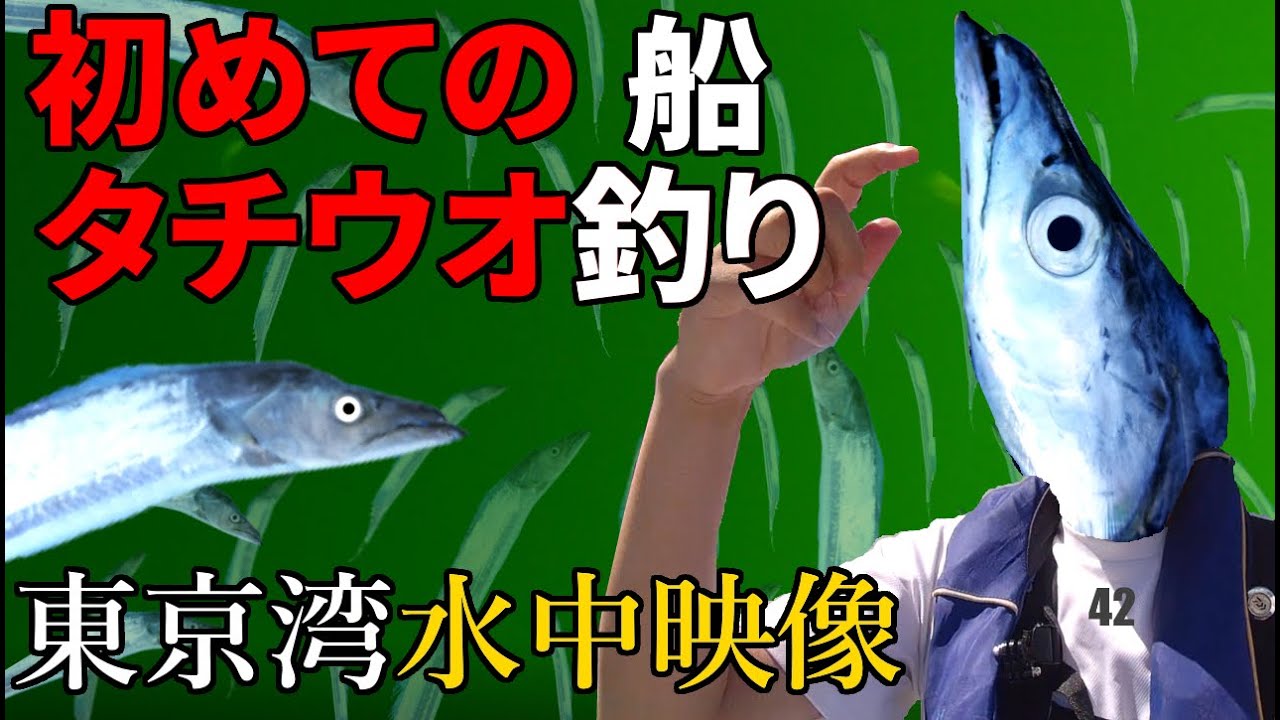 金沢八景 東京湾タチウオ船釣りに行ったらボウズだった 忠彦丸 Youtube