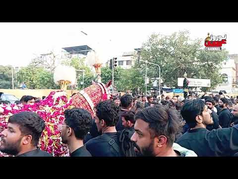 Juloos Shabeh e Zuljanah Zuljanh 8 Muharram || Anarkali Bazar Lahore