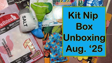 Kit Nip Box Unboxing | August 2025