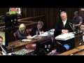 Pistorius Trial: Oscar Pistorius continue