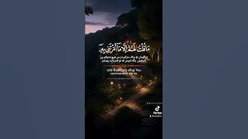 قرآن كريم #qoran_karim #اكسبلور #duet #حالات_واتس #دويتو #تيك_توك #لايك