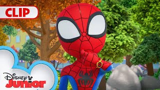 Dog Vs Cat 🐱🐶 | Marvel's Spidey And His Amazing Friends | @Disneyjunior