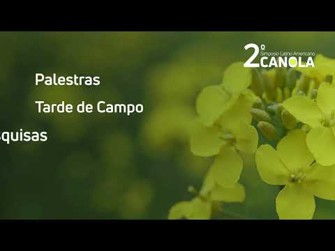 2º SIMPOSIO LATINO AMERICANO DE CANOLA