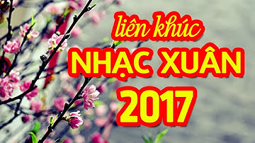 Nhạc Tết 2017 - LK Chào Xuân Đinh Dậu 2017 Hay Nhất | HAPPY NEW YEAR 2017