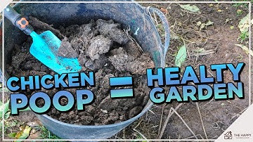 The Secret of Happy Plants? It