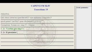 Lingua - 44.G - Exercise Tutorial