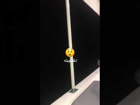 سمكة الانقليس