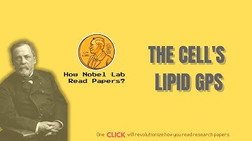 How Cells Move Fat: Speed, Direction, and the Secret Flipping Switch [Nature, 2025]