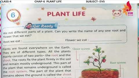 2021 22 CLASS 4 SUBJECT   EVS CHAP 6 PLANT LIFE PART   1