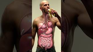 Inside Your Gut 🍌 | 3D Animation of Banana Digestion & Parasite Worms