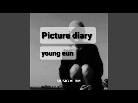 Picture diary