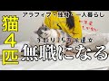 まさかの派遣終了で無職になりました。。12年目の更新ならず😢
