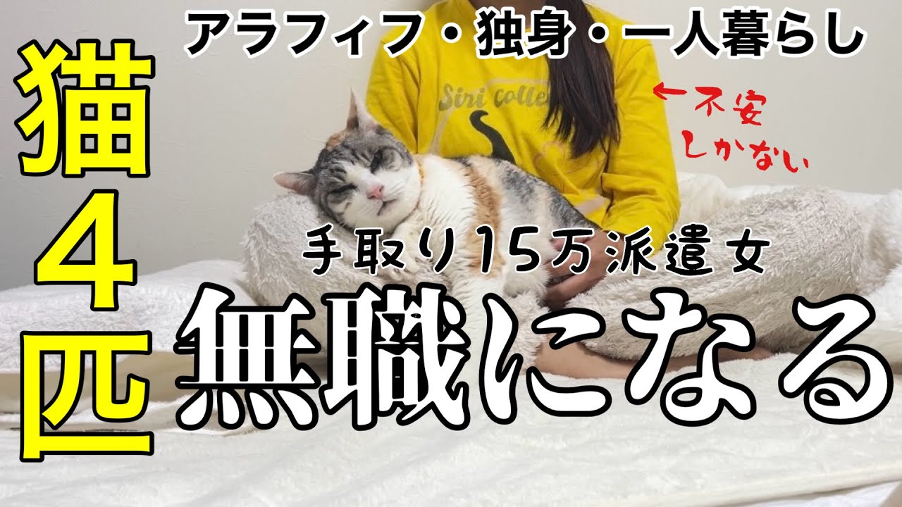 まさかの派遣終了で無職になりました。。12年目の更新ならず😢