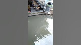 Story' WA IG main ke cafe lesehan