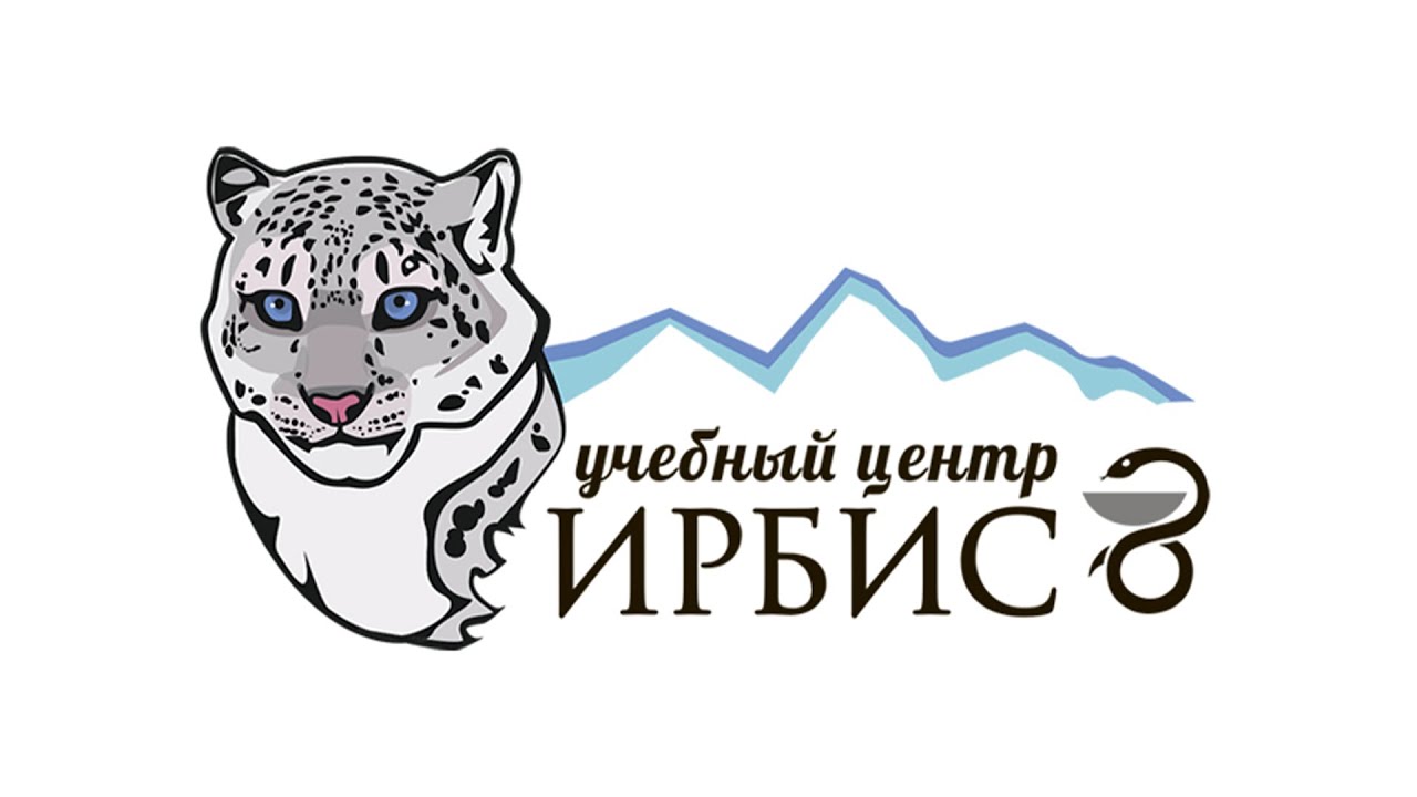 Ирбис Уфа Магазин