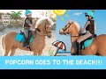 Beach Horse riding with my pony Popcorn! Does he go in the sea!?