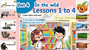 Connect plus 3 U4 L1 to 4  🦊🐍🐒In the wild  Teacher