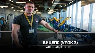 Бицепс (Урок 3). Александр Эскин (eng subtitles) Бицепс (Урок 3). Александр Эскин (eng subtitles)