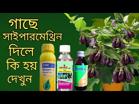 ভিডিও: লিউসিনের জন্য কোডনগুলি কী কী?