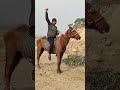Horse riding arslan k vlogs  trending funny shorts short arslan vlog