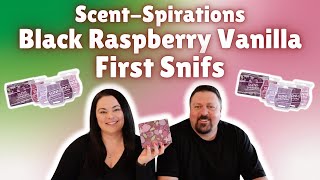 Scent-Spirations Black Raspberry Vanilla First Sniffs