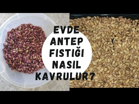 EVDE ANTEP FISTIĞI NASIL KAVRULUR??-FIRINDA ANTEP FISTIĞI KAVURMA!!