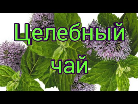 Целебный чай дающий энергию.Чай Чингисхана. Душица, мята и зверобой творят чудеса.