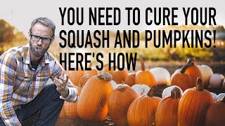 DON'T Just harvest your Squash and Pumpkins  CURE Them!