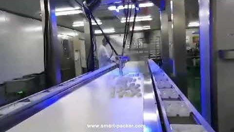 Spider type double station conveyor feeding sorting tray filling machine robot hand packing equipmen