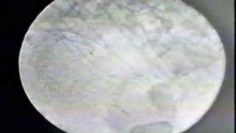 TEM study of dislocation moving in a ferritic steel