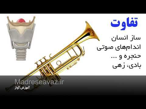 تصویری: چه تفاوتی بین سازهای بادی وجود دارد