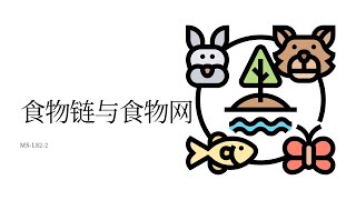 食物链与食物网 (MS-LS2-2, Chinese)