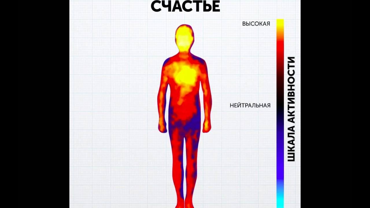 Восприятие температуры человеком. Тепловая карта эмоций человека. Температурная карта эмоций. Части тела и эмоции. Эмоции и температура тела.