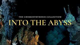 Into The Abyss Chemosynthetic Oases Full Movie