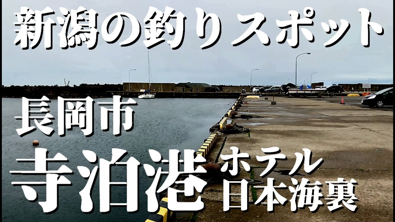 新潟の釣りスポット 寺泊港 ホテル日本海裏 寺泊漁港は魚いっぱい アジ 根魚 シーバス アオリイカなどが狙える寺泊港の中でも人気の釣り場です Youtube