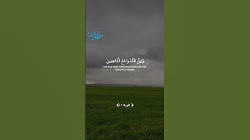 #voiceeffects #اكسبلور #قران_كريم القارئ/ الشيخ ابو بكر الشاطري #live #voiceeffects #dosa تلاوة