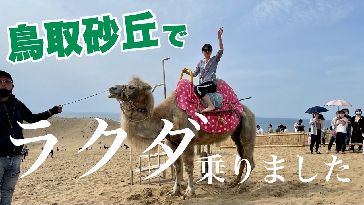 ラクダ体験 鳥取砂丘デートを満喫する最高の遊び方 日本一周vlog Youtube