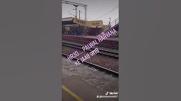 32 zilo ke jaat  ||full song coming soon|| latest haryanvi song 2020 #tiktokindia #trending