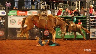 TOP TOMBOS em Cavalos - Rodeio de Colorado 2018 