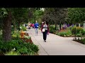 Denver Botanic Gardens celebrates Colorado pollinator month