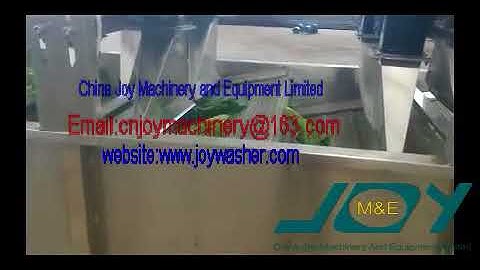 Air Bubble WashingVegetable and Fruit Washing and Drying Machine