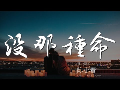 沒那種命 - 陳小春『她像個天仙 她太美了』【動態歌詞Lyrics】
