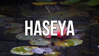 Ajeet Kaur - Haseya (Lyrics / Letra)