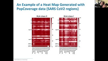2024 User Workshop – 1.6 – Analysis Tools & Section 3 Q&A