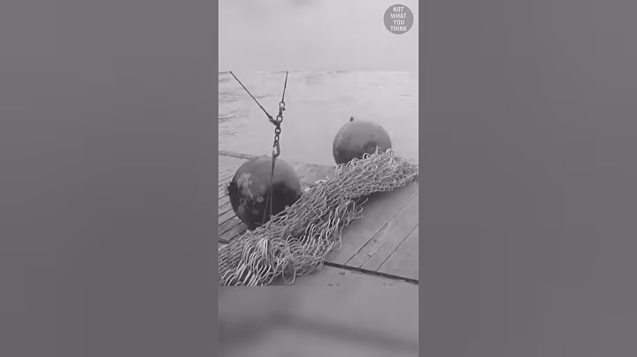 Swimming with Sharks - US Navy Edition