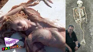 A Real Life New Mermaid Found On The Beaches Of Hawaii and Egypt