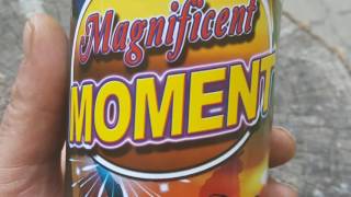 Magnificent Moment by Magnus, Fountain ( new special effects) screenshot 5