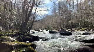 Peaceful river sounds from the smoky mountains. by Stone Yogi 87 views 1 year ago 1 hour, 1 minute